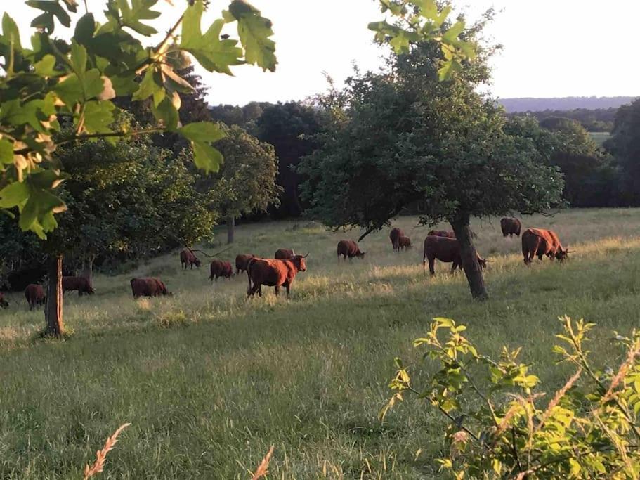 Ferme De Casa de Férias *